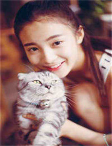 《金品梅2008-美女奶子》